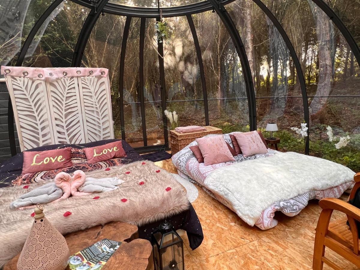Tente de luxe Dôme S'féérique Avec Accès Piscine *